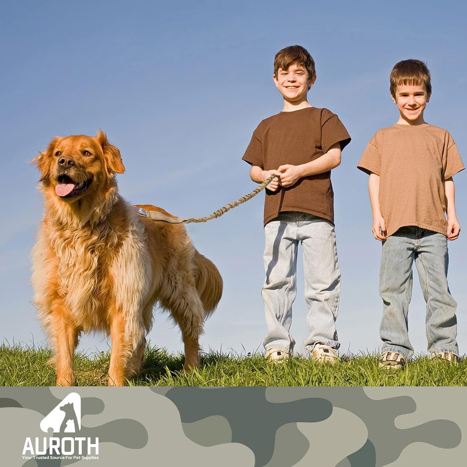 Heavy Duty Bungee Dog Leash for Medium Large Breed Dogs, No Pull Leashes for Shock Absorption with Car Seat Belt, 2 Padded Handles 4.5FT 6FT Training Dog Leash