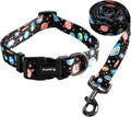 Dog Collar and Leash Set for Daily Outdoor Walking Running Training, Space Design for Small Boys Girls Dogs Cats Pets, S-Up to 20LBS